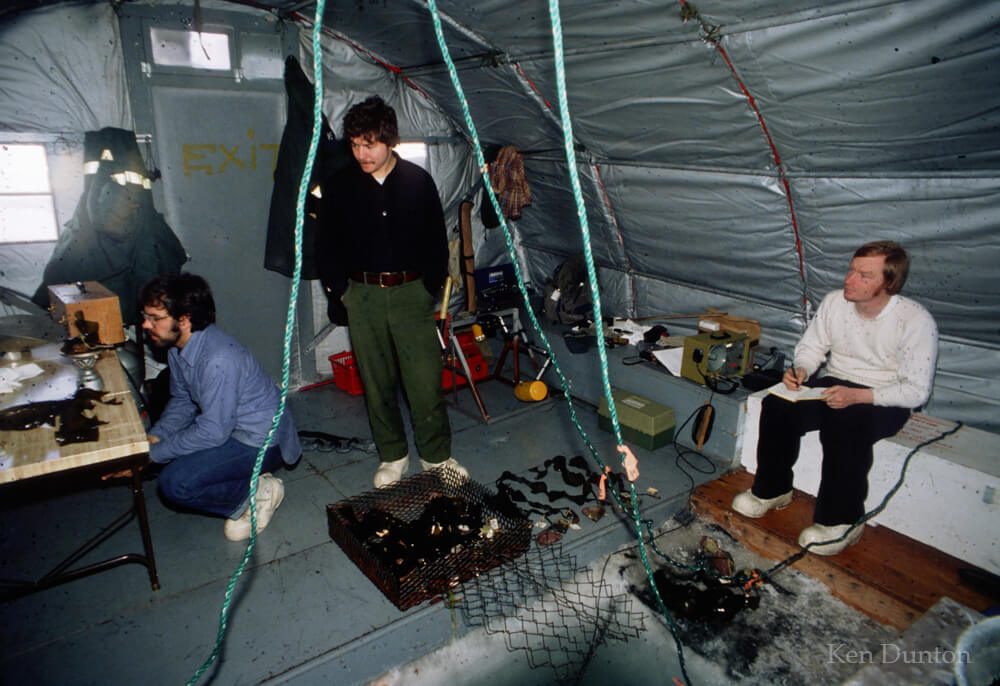 Measuring kelp in parcoll, John Olson, Gary F Smith and Paul Plesha